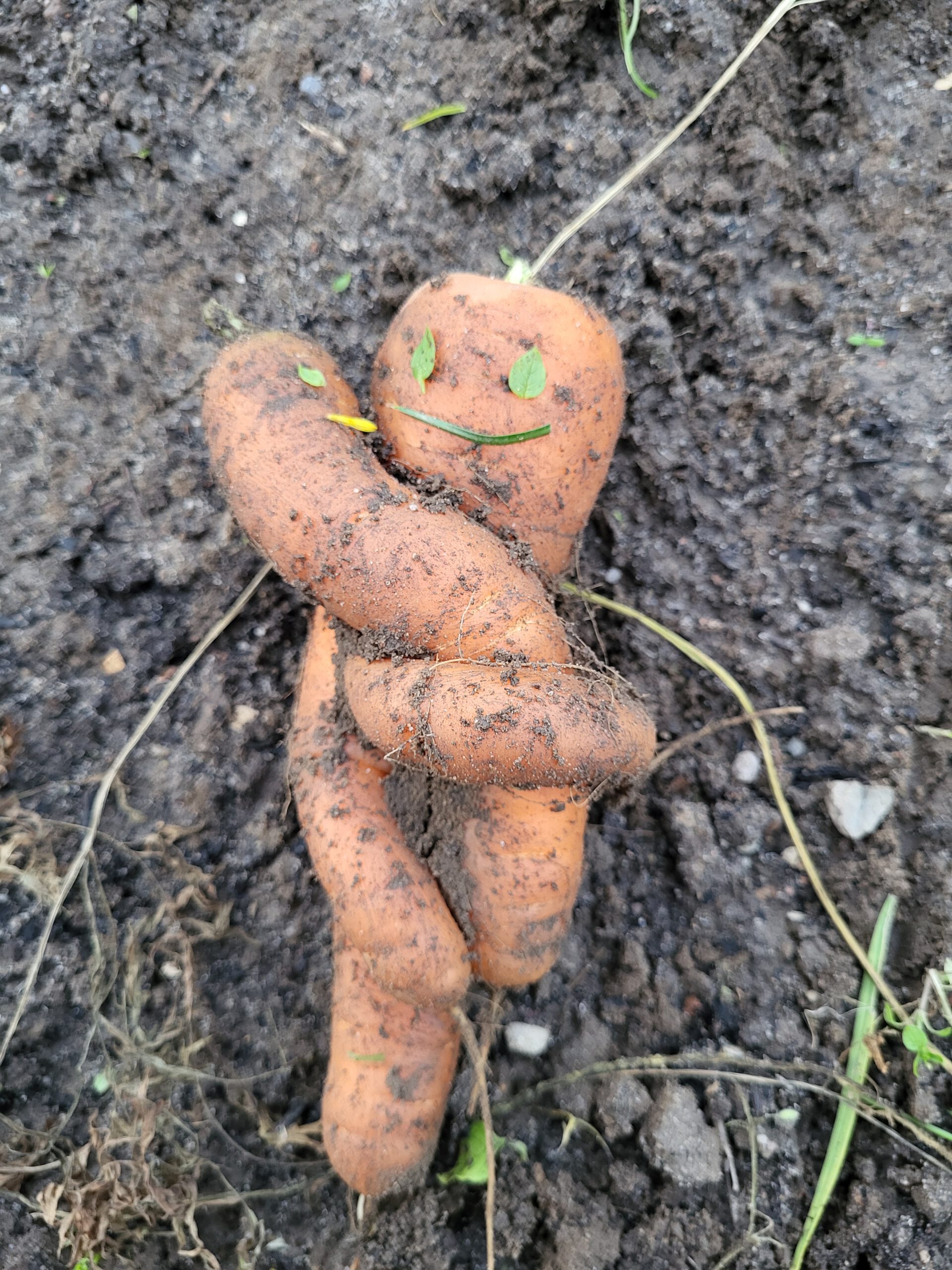 Gemüse zu einem Smiley zusammen gelegt.